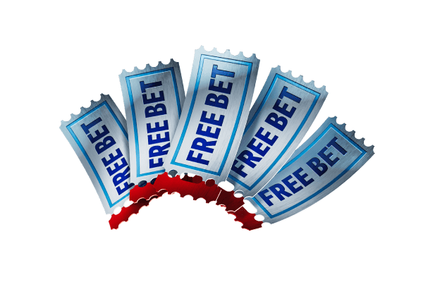 Free Bet 310